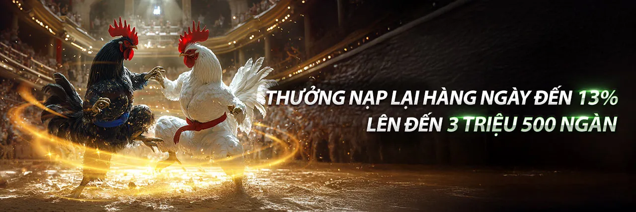 Sân vận động đầy ắp khán giả và ánh đèn rực rỡ, biểu tượng cho cá cược thể thao sôi động tại 79king1 login